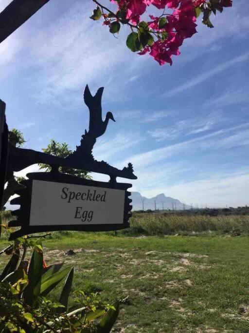 The Speckled Egg, 4 Promenade Rd, Lakeside, Kapstaden Exteriör bild